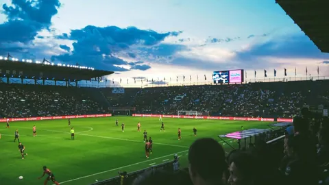 晨曦曙光23小时前